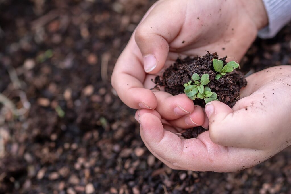 Gartenaktivitäten mit Kindern - Gärtnern