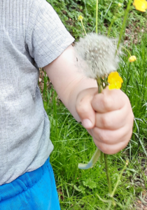 Kind beim Blumen pflücken