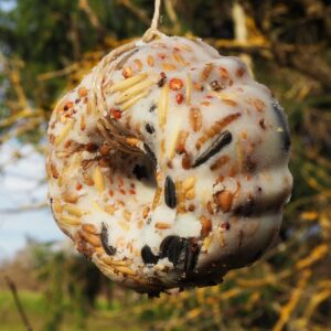 Selbst gemachtes Vogelfutter hängt am Baum