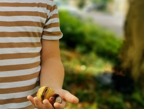 Kind hält Kastanien in der Hand