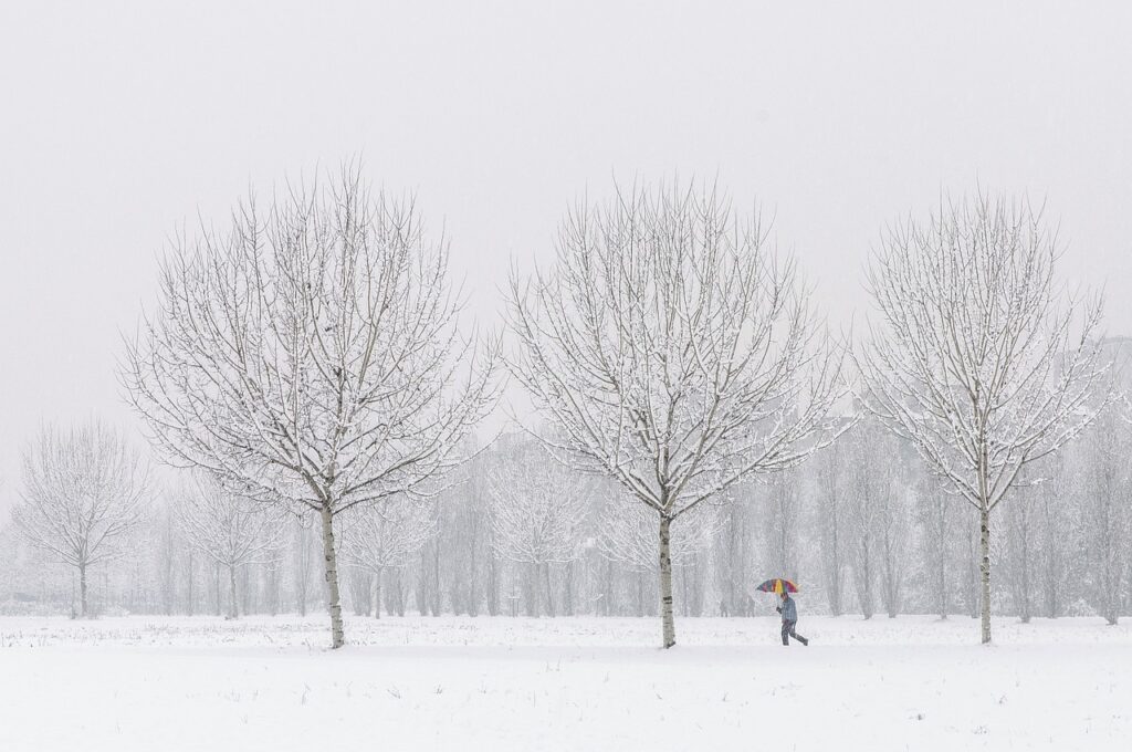 Winterlandschaft mit Spaziergänger