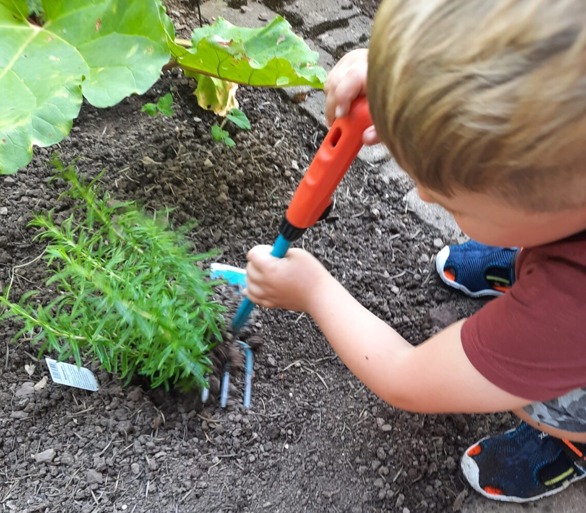 Gärtnern mit Kindern