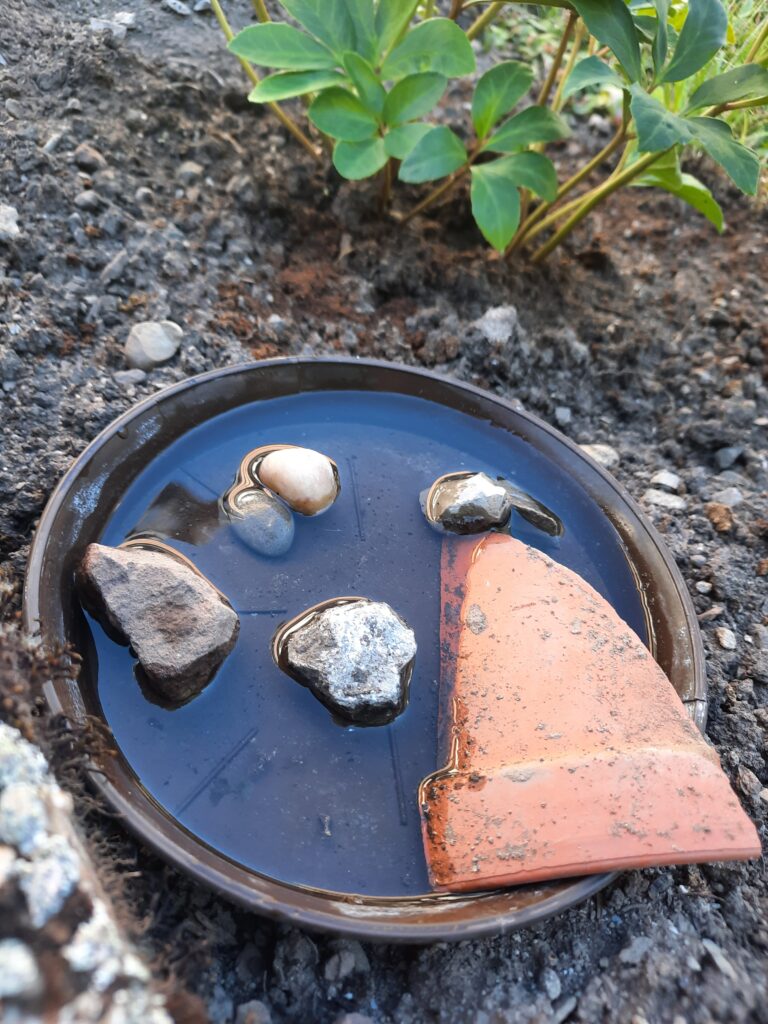 Wassertränke für nützliche Insekten