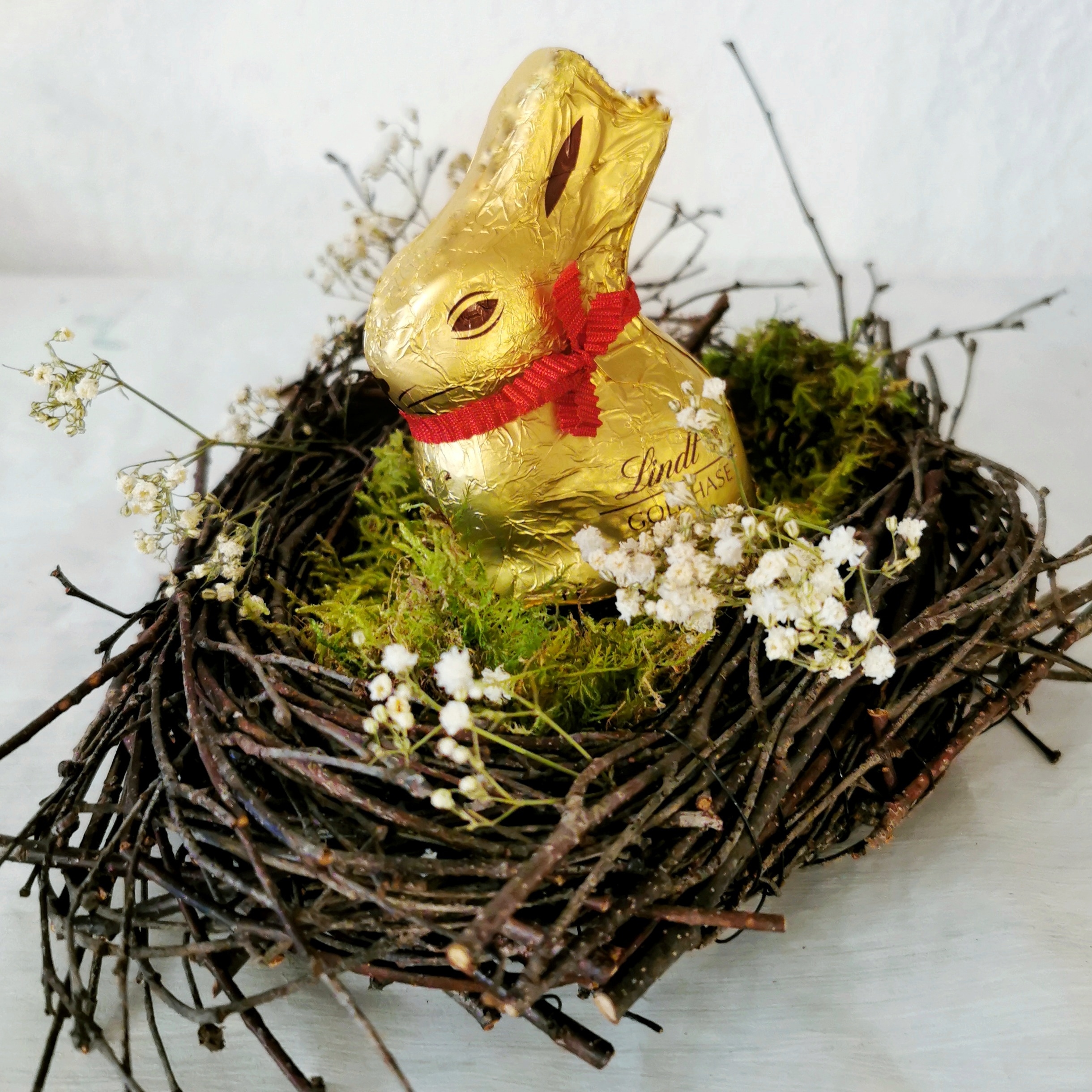 Osterideen aus der Natur - Nest aus Zweigen