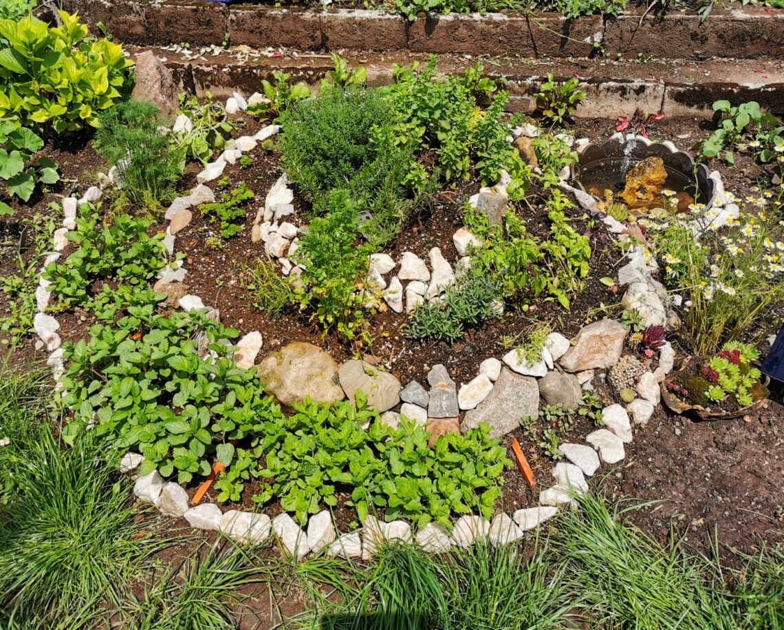 Kräuterspirale bauen - bepflanzt