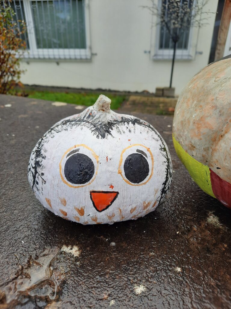 Kürbis Hedwig Harry Potter