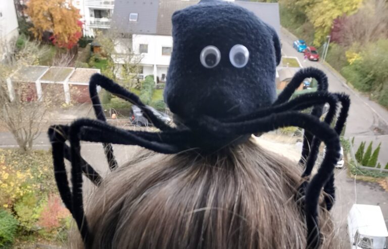 Spinne im Haar