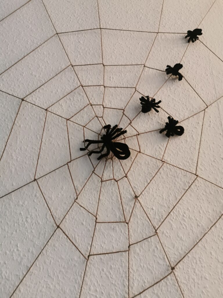 Spinnen im Spinnennetz