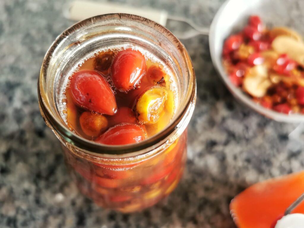 Hagebutten und Weißdorn Oxymel