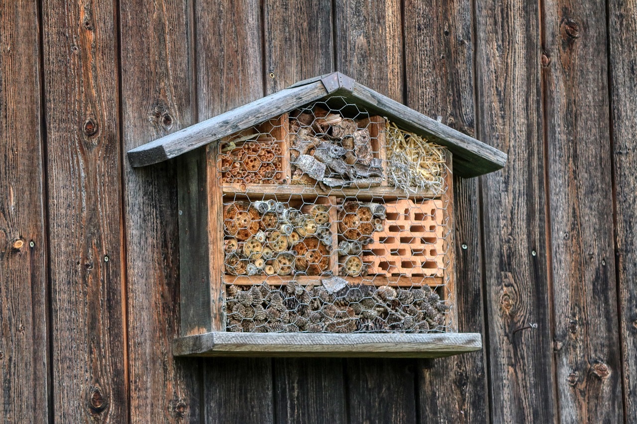gutes Insektenhotel erkennen