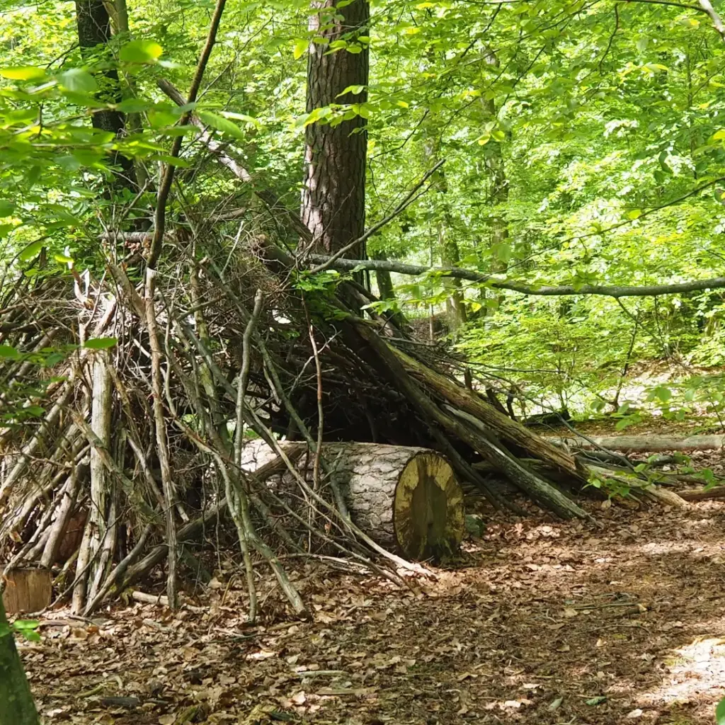 Sommerferien Ideen Hütte bauen