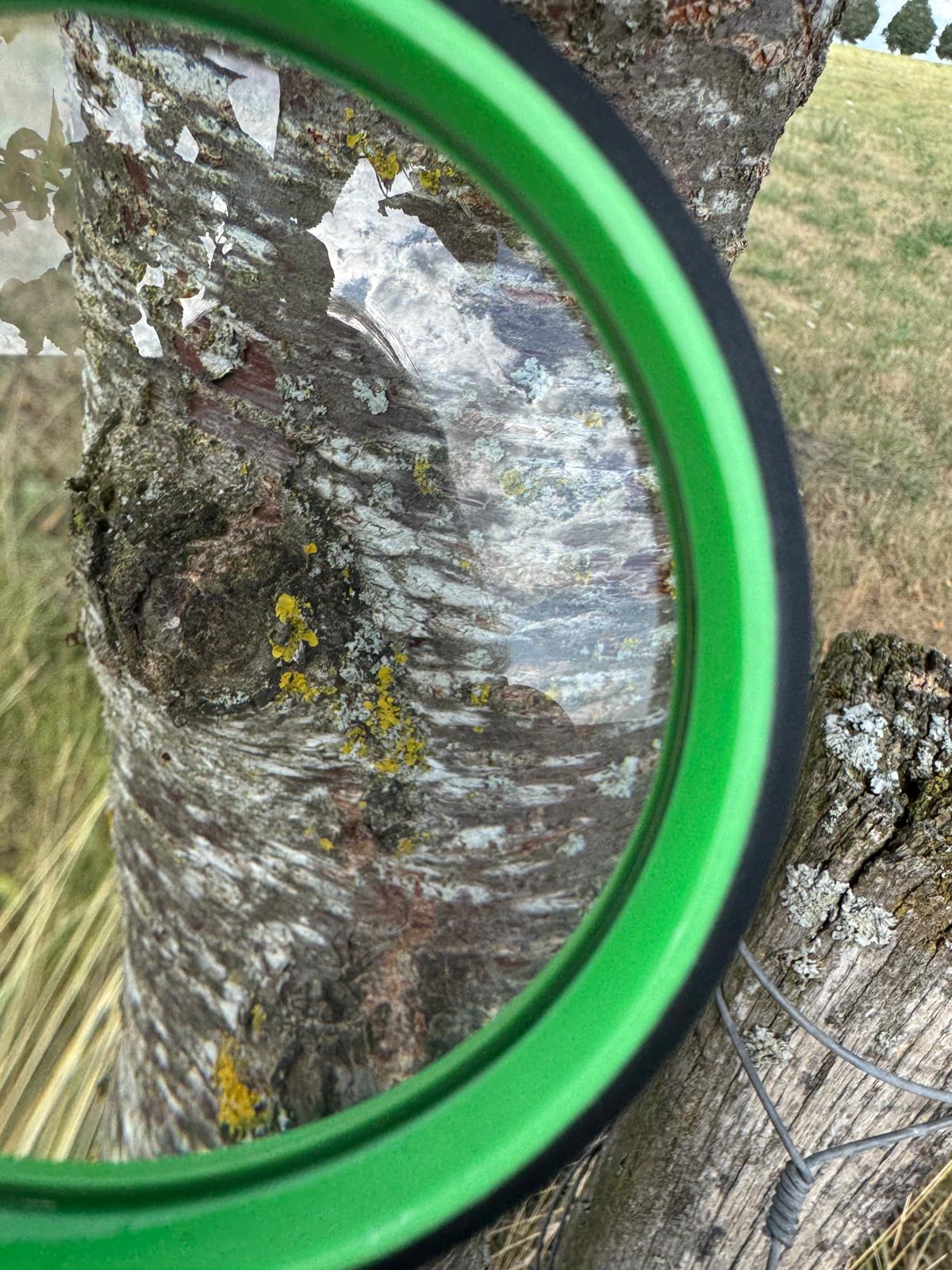 Naturforscher Ausrüstung Lupe